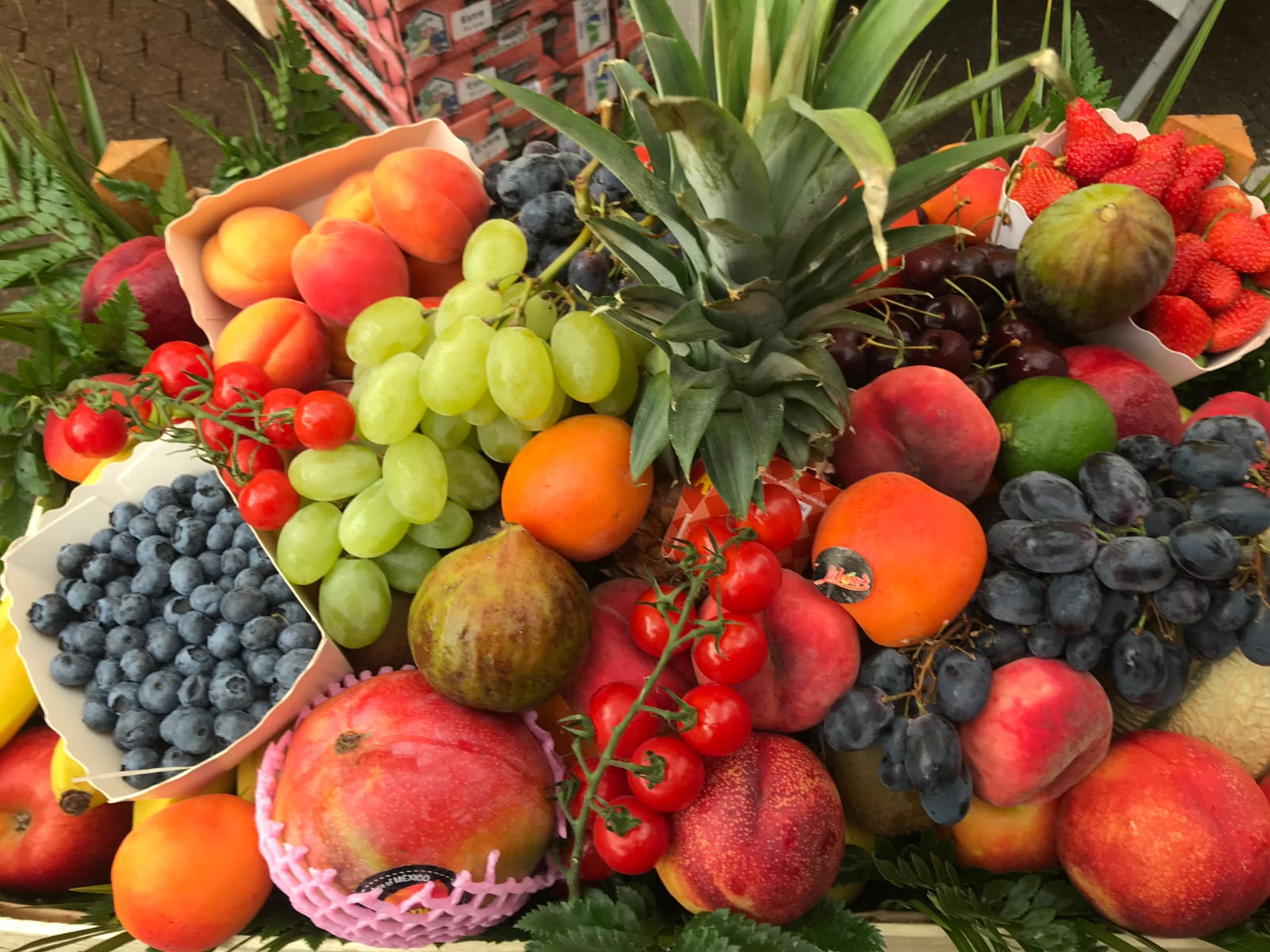 WhatsApp Image 2025-02-18 at 19.22.18