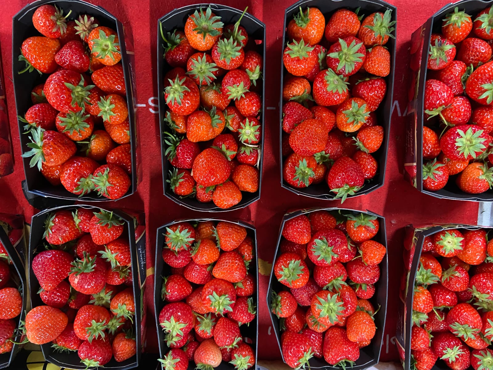 WhatsApp Image 2025-02-18 at 19.23.35 (1)