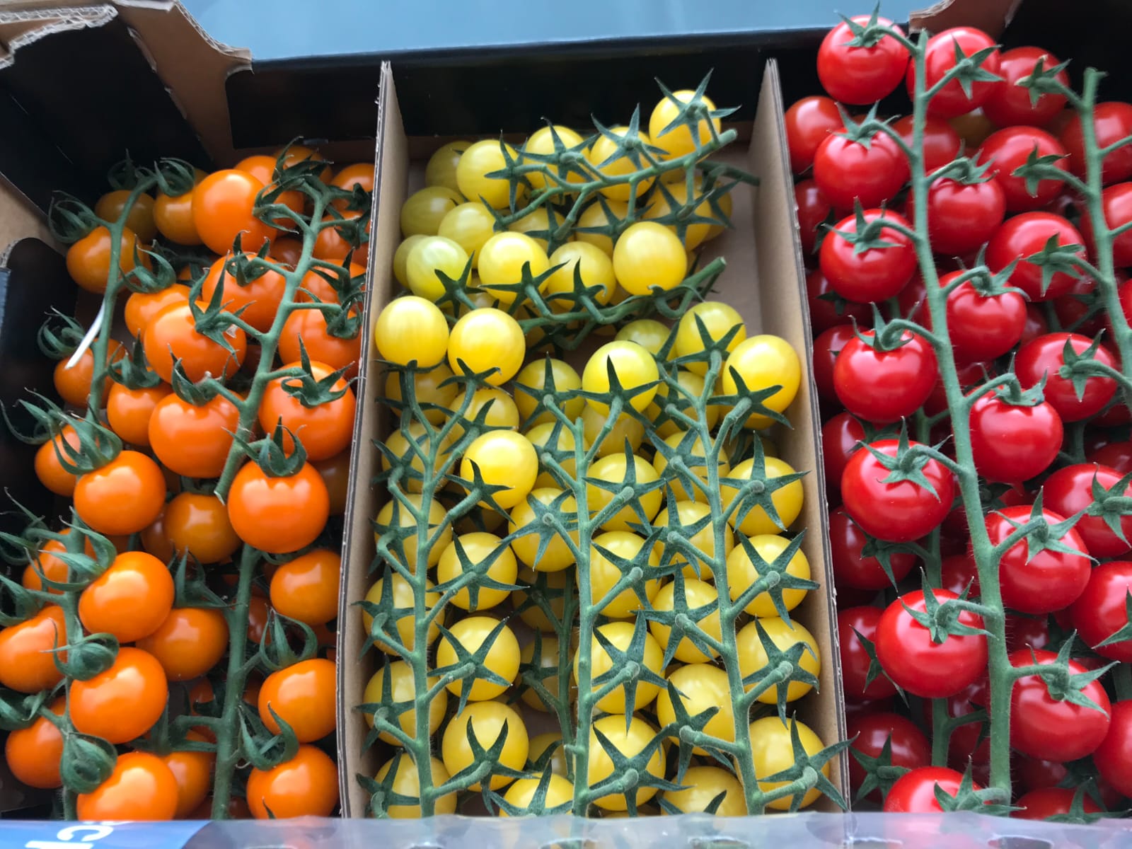 WhatsApp Image 2025-02-18 at 19.31.54 (2)