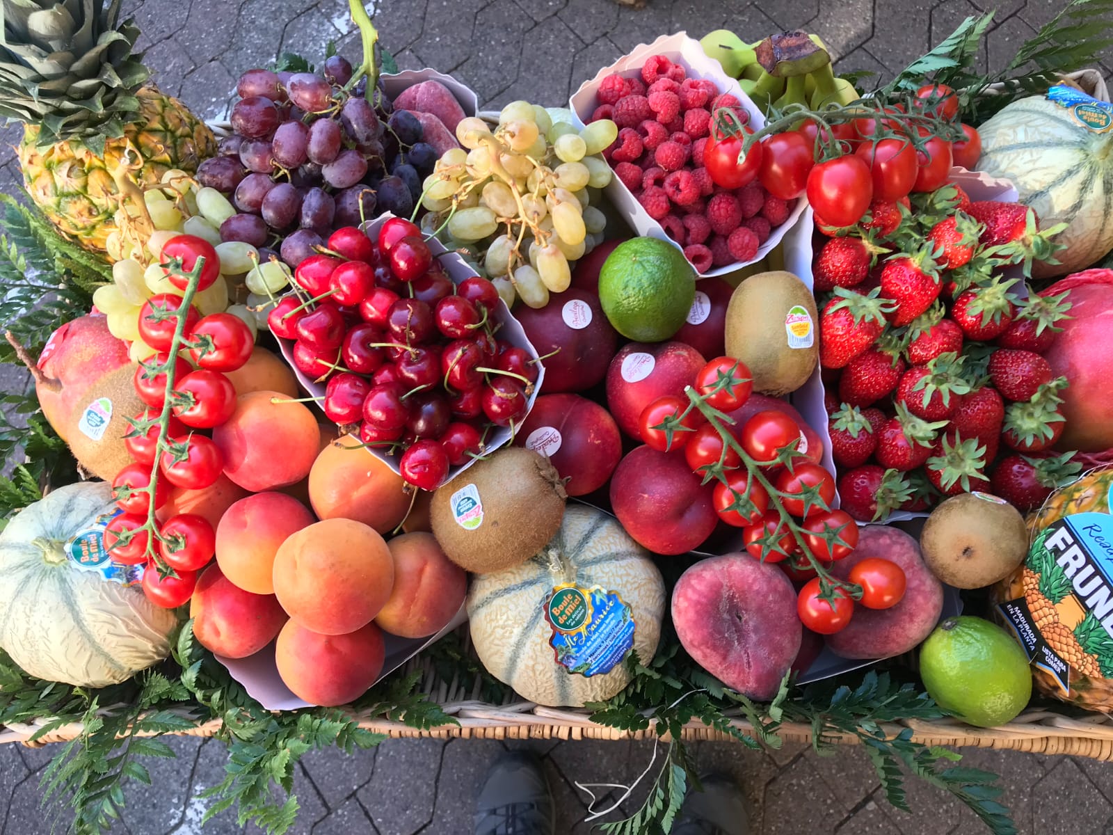 WhatsApp Image 2025-02-18 at 19.31.54 (6)